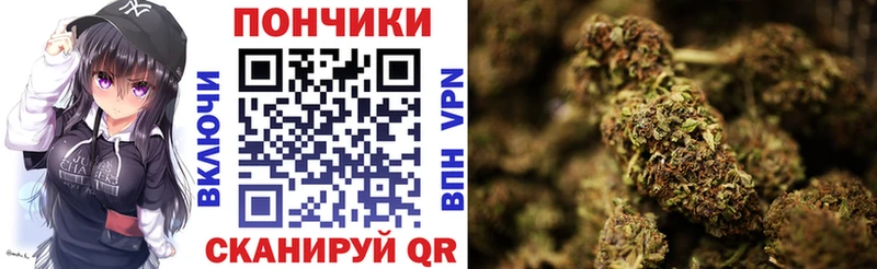 Конопля OG Kush  как найти закладки  Нахабино 